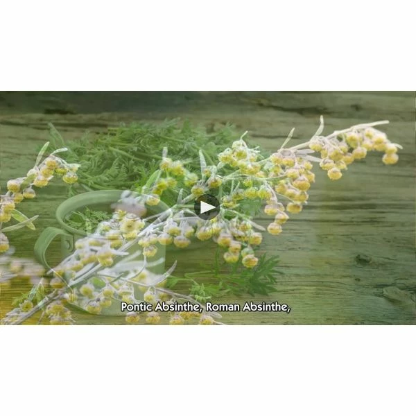 Poli Gran Bassano Vermouth Bianco (700ML) - Image 2