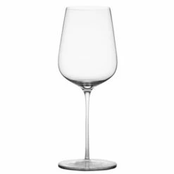 Glasvin Universal Glass (Set Of 2)